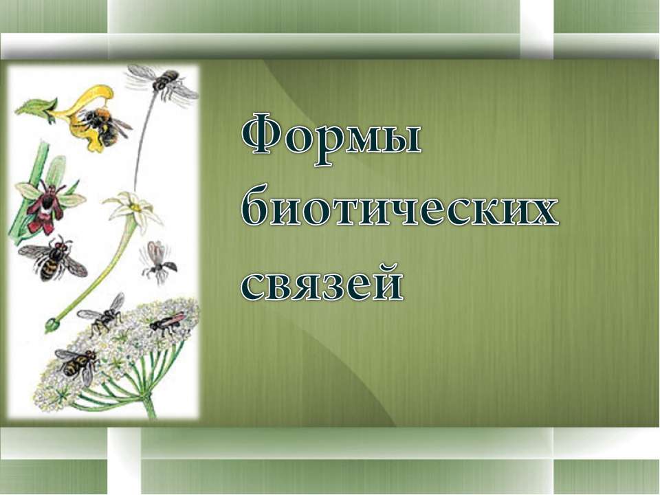 Формы биотических связей Учебники, Презентации и Подготовка к Экзаменам для Школьников на Klass-Uchebnik.com