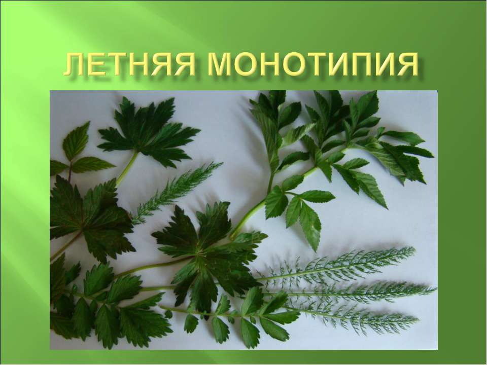 Летняя монотипия Учебники, Презентации и Подготовка к Экзаменам для Школьников на Klass-Uchebnik.com