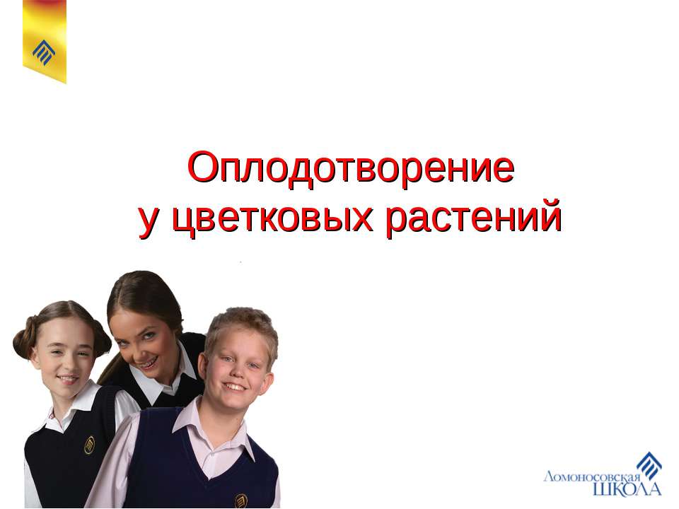 Оплодотворение у цветковых растений Учебники, Презентации и Подготовка к Экзаменам для Школьников на Klass-Uchebnik.com
