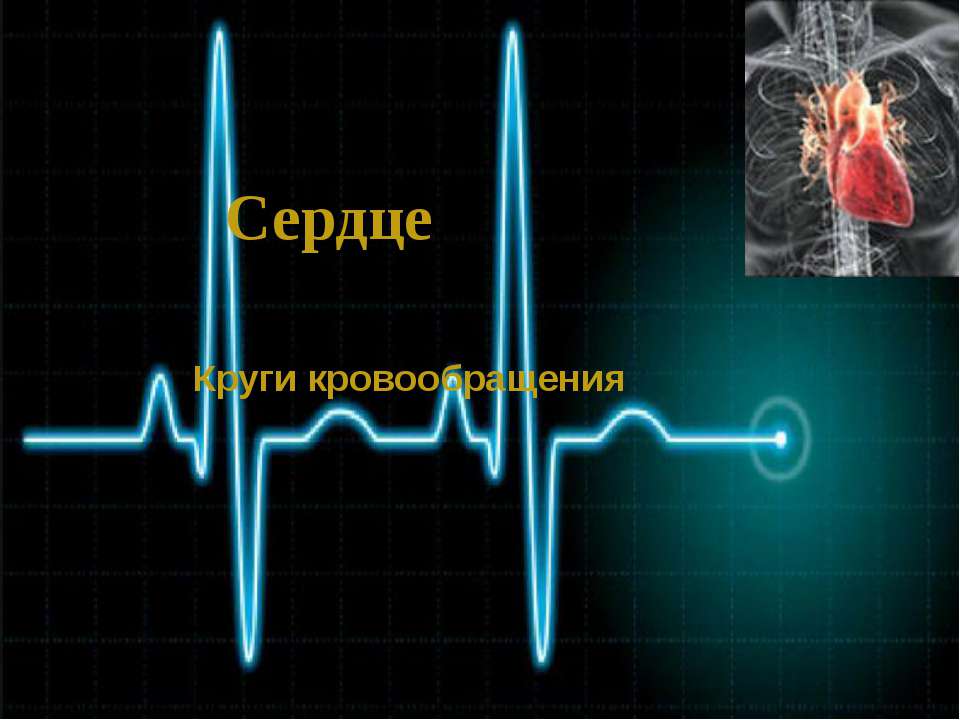 Сердце. Круги кровообращения Учебники, Презентации и Подготовка к Экзаменам для Школьников на Klass-Uchebnik.com