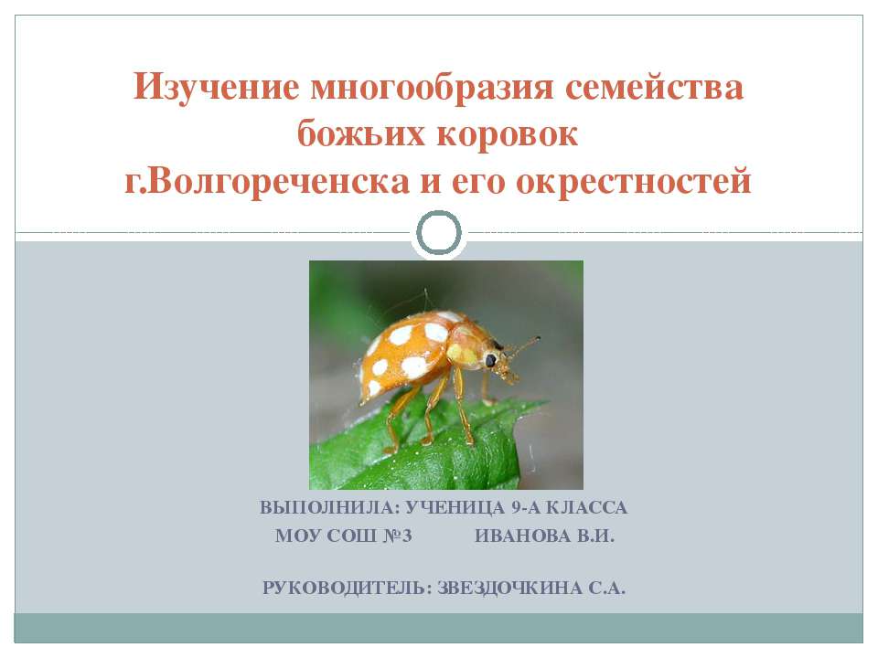 Изучение многообразия семейства божьих коровок г.Волгореченска и его окрестностей Учебники, Презентации и Подготовка к Экзаменам для Школьников на Klass-Uchebnik.com