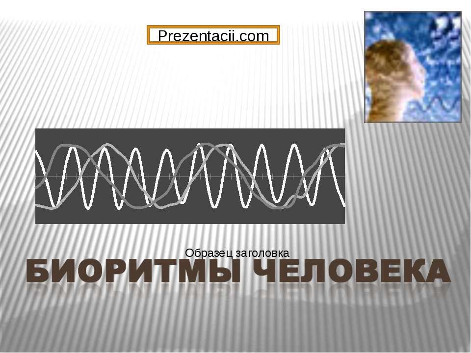 Биоритмы человека Учебники, Презентации и Подготовка к Экзаменам для Школьников на Klass-Uchebnik.com