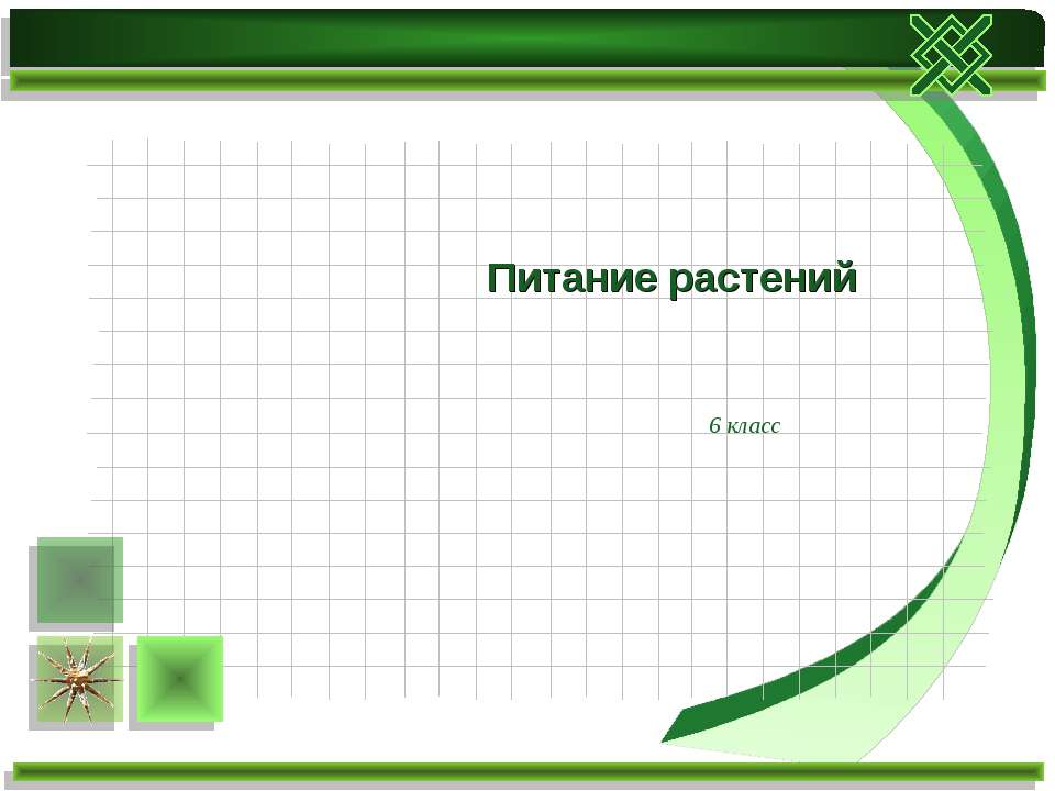 Питание растений 6 класс Учебники, Презентации и Подготовка к Экзаменам для Школьников на Klass-Uchebnik.com