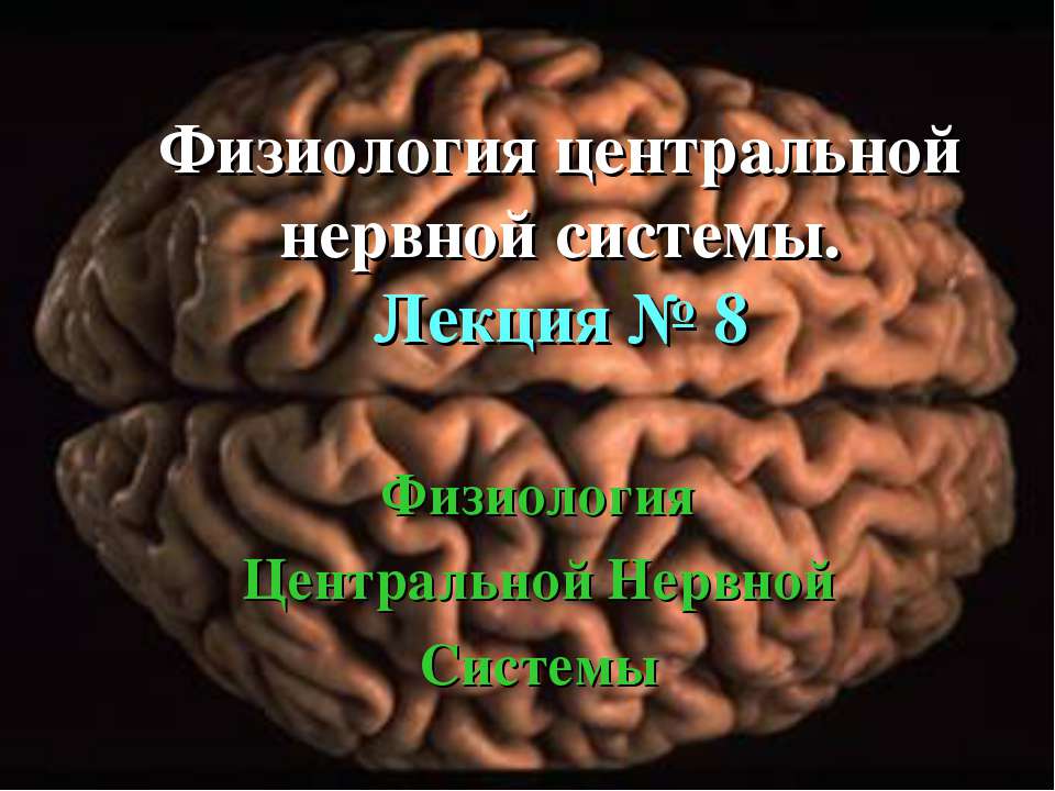 Физиология центральной нервной системы Учебники, Презентации и Подготовка к Экзаменам для Школьников на Klass-Uchebnik.com