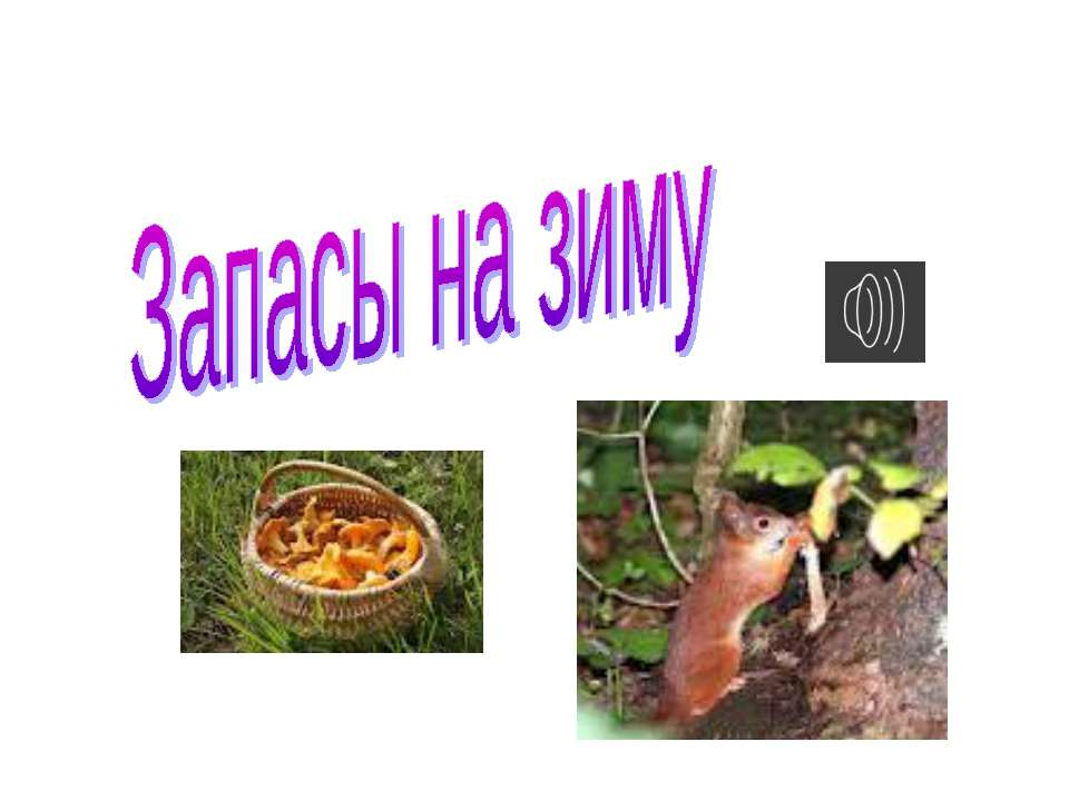 Запасы на зиму Учебники, Презентации и Подготовка к Экзаменам для Школьников на Klass-Uchebnik.com