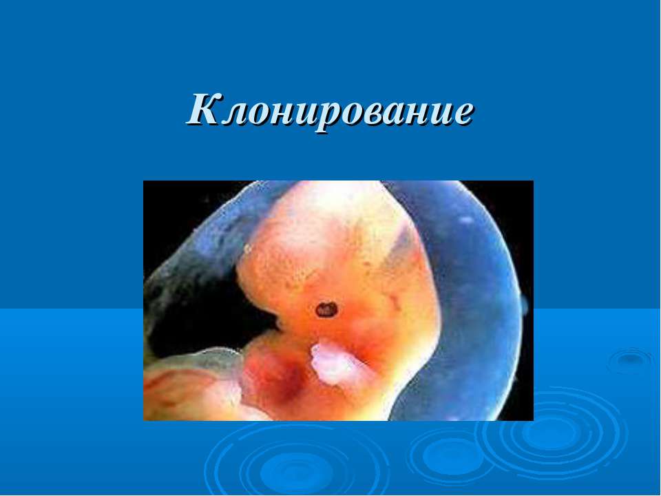 Клонирование Учебники, Презентации и Подготовка к Экзаменам для Школьников на Klass-Uchebnik.com