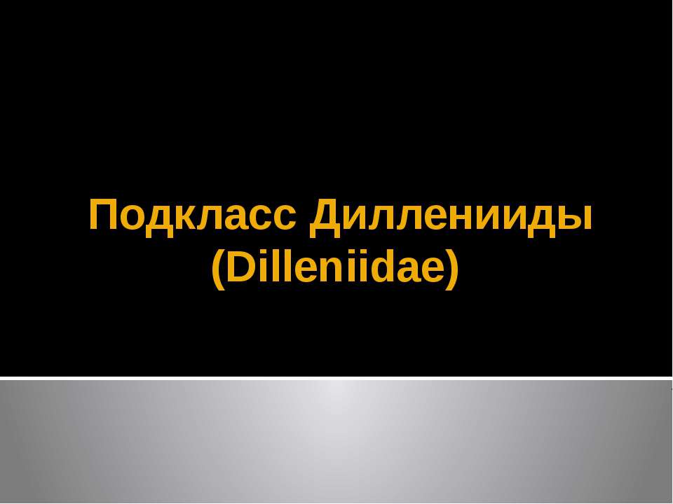 Подкласс Дилленииды (Dilleniidae) Учебники, Презентации и Подготовка к Экзаменам для Школьников на Klass-Uchebnik.com