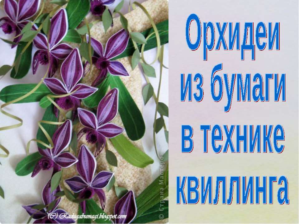 Орхидеи из бумаги в технике квиллинга - Учебники, Презентации и Подготовка к Экзаменам для Школьников на Klass-Uchebnik.com