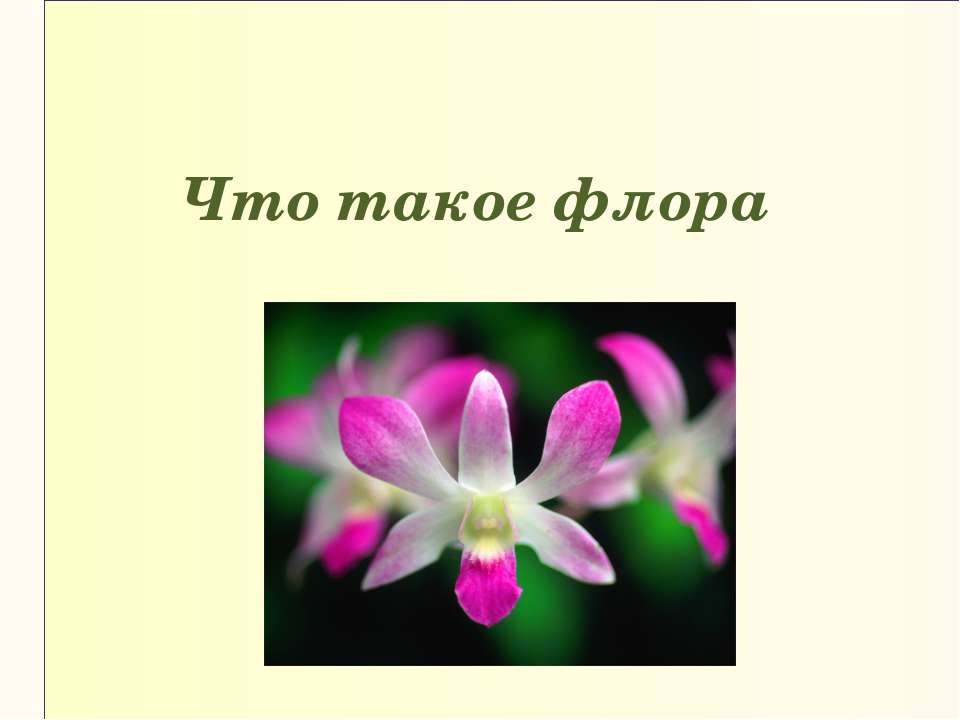 Что такое флора Учебники, Презентации и Подготовка к Экзаменам для Школьников на Klass-Uchebnik.com