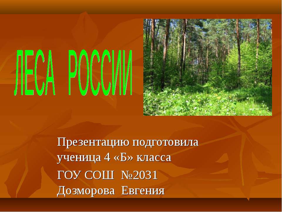 Леса России (4 класс) Учебники, Презентации и Подготовка к Экзаменам для Школьников на Klass-Uchebnik.com