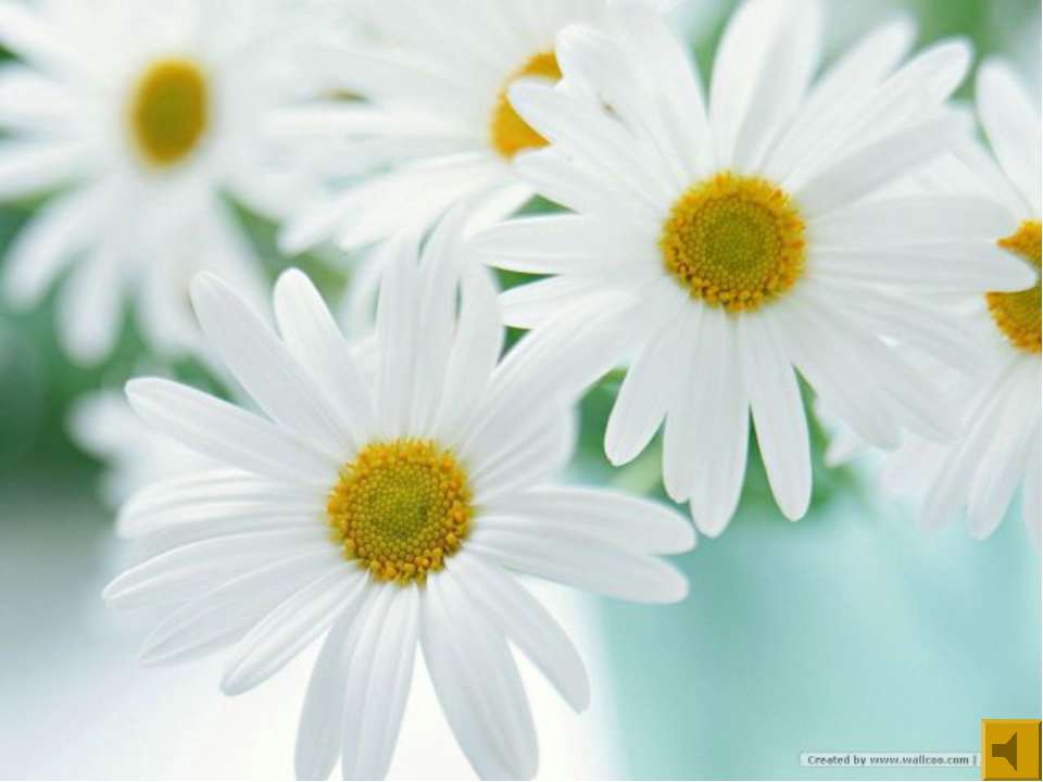 Вещества, образуемые растениями - Учебники, Презентации и Подготовка к Экзаменам для Школьников на Klass-Uchebnik.com