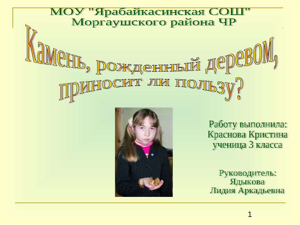 Камень, рожденный деревом, приносит ли пользу? Учебники, Презентации и Подготовка к Экзаменам для Школьников на Klass-Uchebnik.com