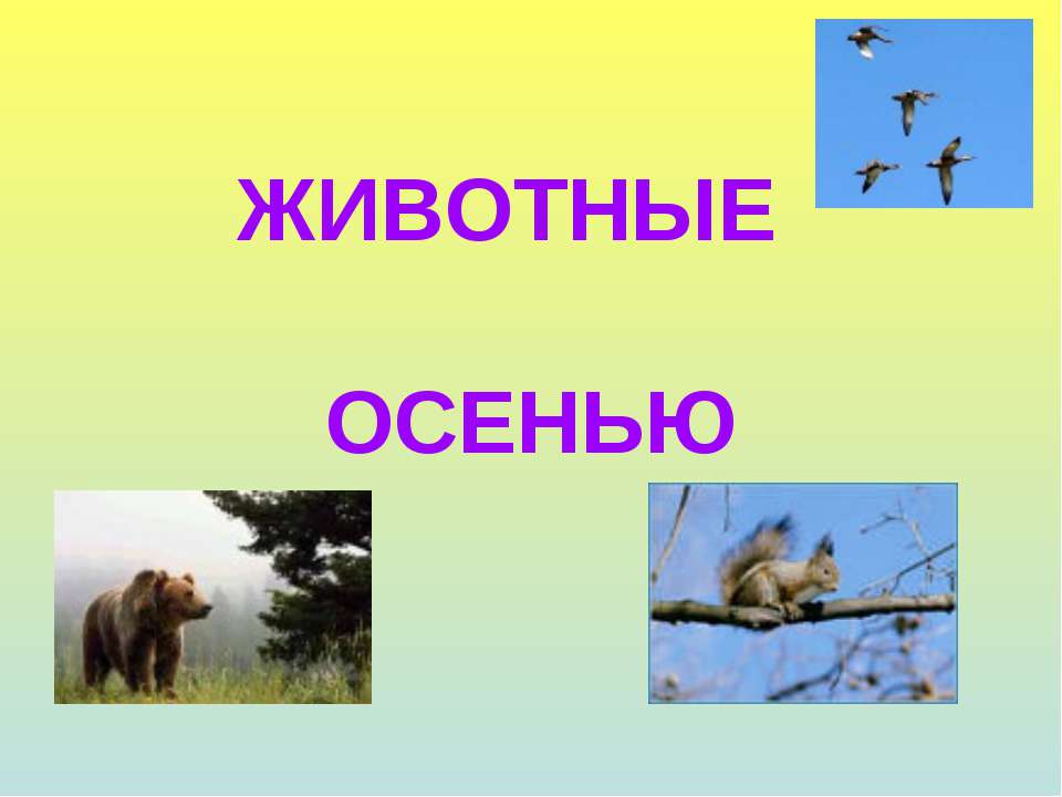 Животные осенью Учебники, Презентации и Подготовка к Экзаменам для Школьников на Klass-Uchebnik.com