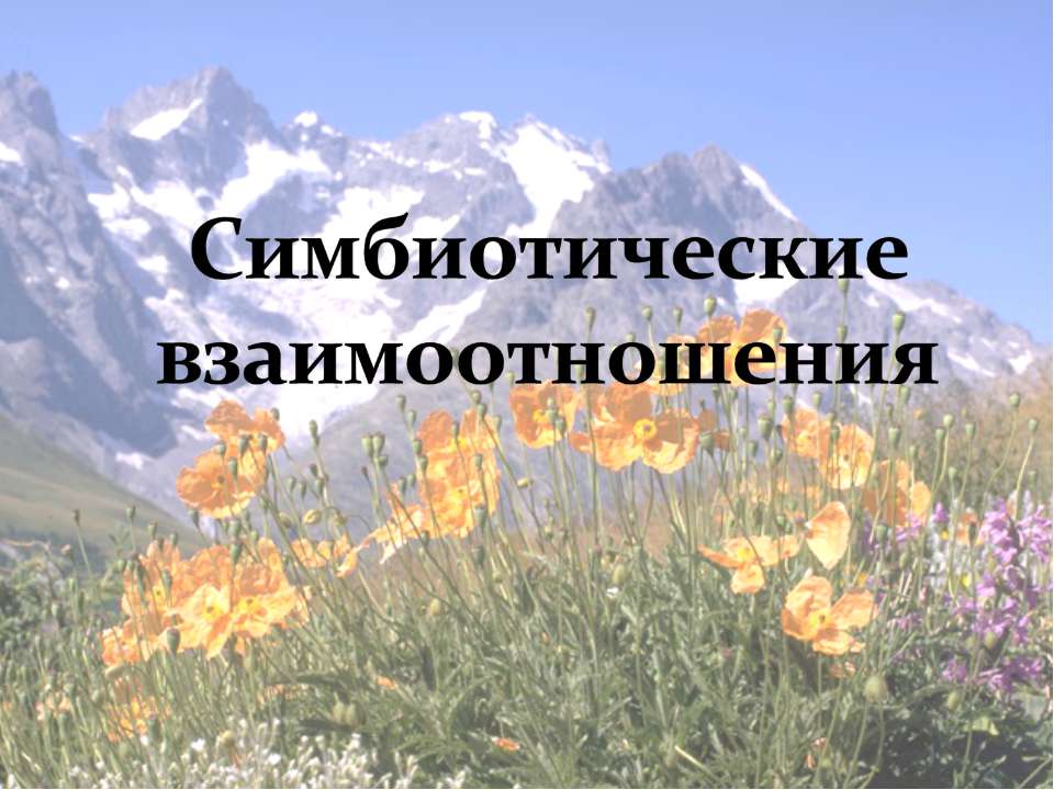 Симбиотические отношения - Учебники, Презентации и Подготовка к Экзаменам для Школьников на Klass-Uchebnik.com