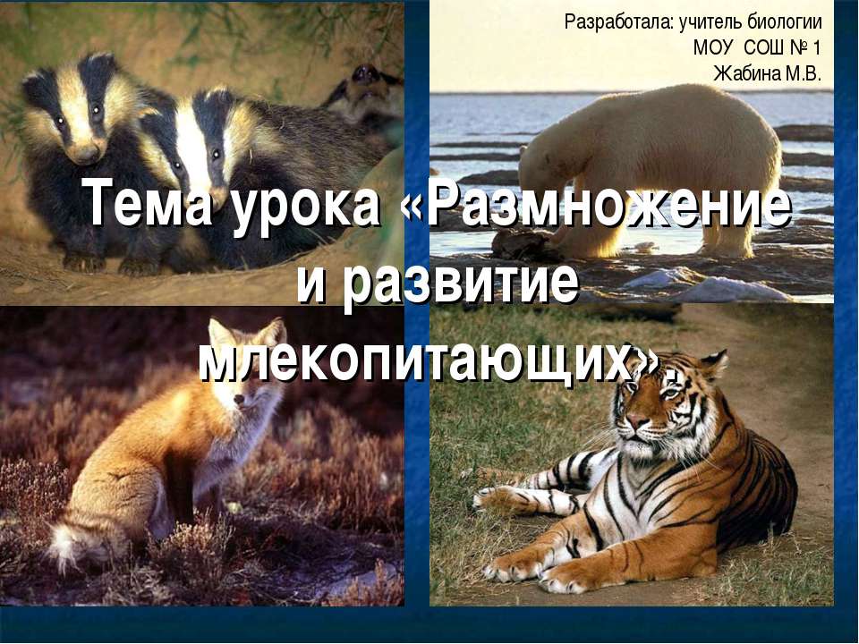 Размножение и развитие млекопитающих Учебники, Презентации и Подготовка к Экзаменам для Школьников на Klass-Uchebnik.com