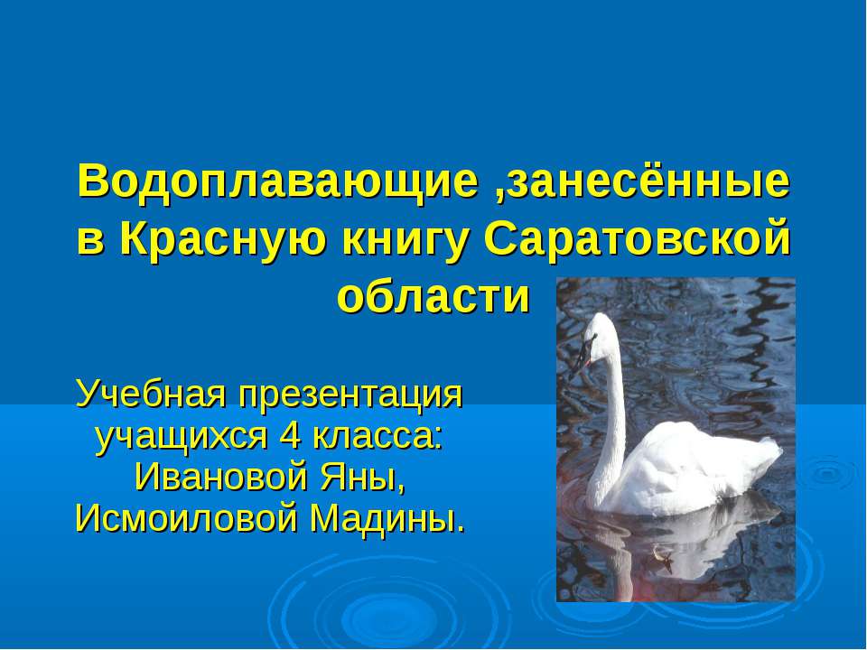 Водоплавающие ,занесённые в Красную книгу Саратовской области - Учебники, Презентации и Подготовка к Экзаменам для Школьников на Klass-Uchebnik.com
