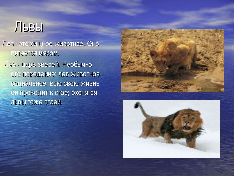 Львы Учебники, Презентации и Подготовка к Экзаменам для Школьников на Klass-Uchebnik.com