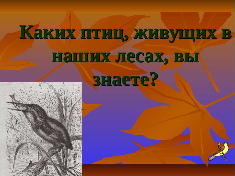 Каких птиц, живущих в наших лесах, вы знаете? - Учебники, Презентации и Подготовка к Экзаменам для Школьников на Klass-Uchebnik.com