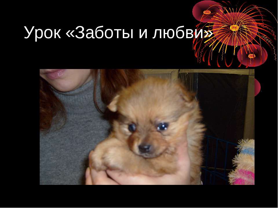 Урок «Заботы и любви» Учебники, Презентации и Подготовка к Экзаменам для Школьников на Klass-Uchebnik.com