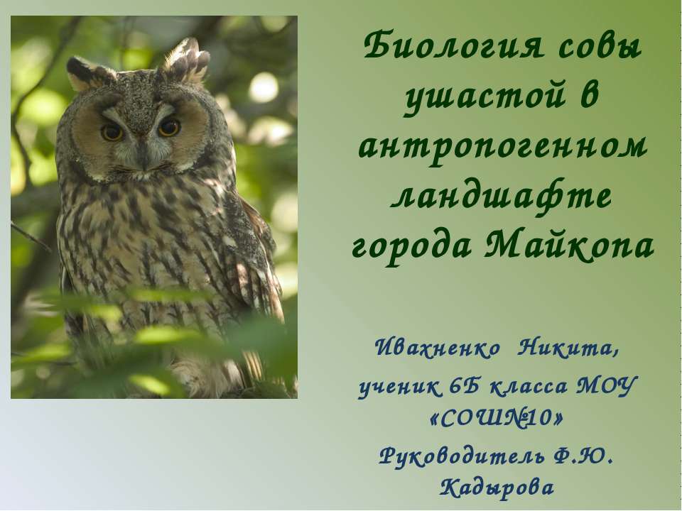 Биология совы ушастой в антропогенном ландшафте города Майкопа Учебники, Презентации и Подготовка к Экзаменам для Школьников на Klass-Uchebnik.com