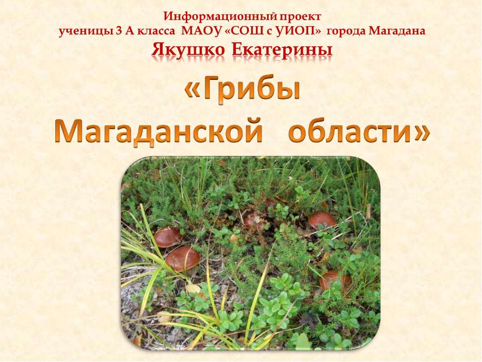 Грибы Магаданской области Учебники, Презентации и Подготовка к Экзаменам для Школьников на Klass-Uchebnik.com