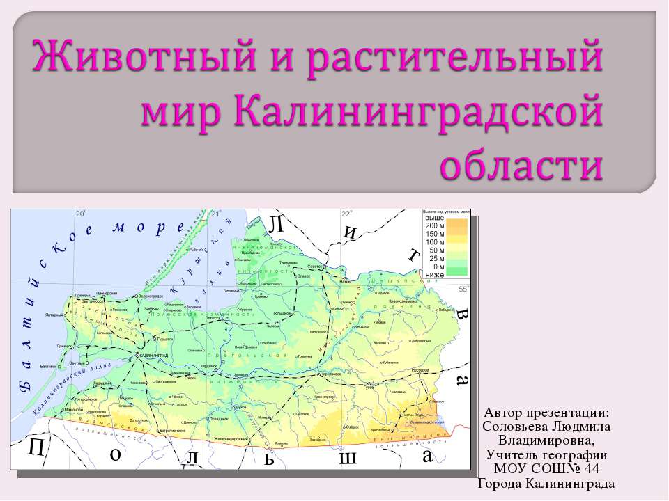 Животный и растительный мир Калининградской области - Учебники, Презентации и Подготовка к Экзаменам для Школьников на Klass-Uchebnik.com