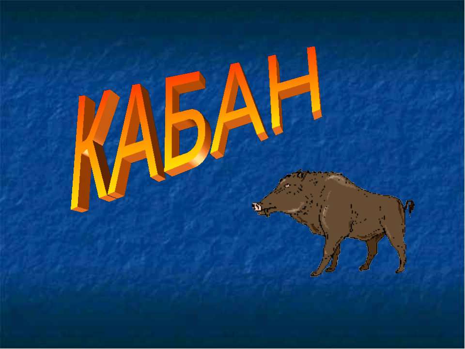 Кабан Учебники, Презентации и Подготовка к Экзаменам для Школьников на Klass-Uchebnik.com