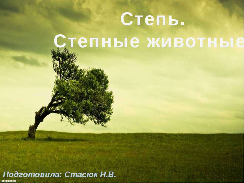 Степь. Степные животные Учебники, Презентации и Подготовка к Экзаменам для Школьников на Klass-Uchebnik.com