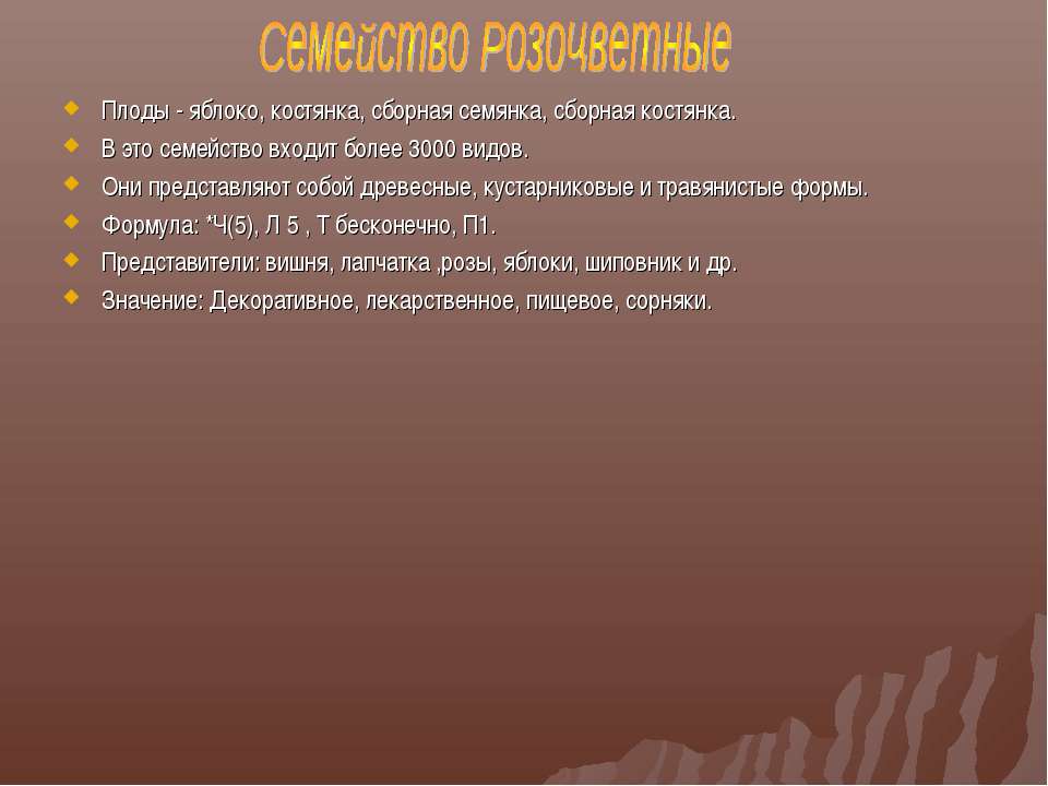 Семейство Розоцветные Учебники, Презентации и Подготовка к Экзаменам для Школьников на Klass-Uchebnik.com