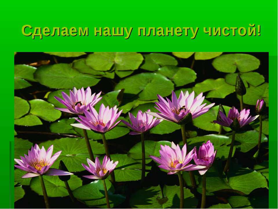 Сделаем нашу планету чистой! Учебники, Презентации и Подготовка к Экзаменам для Школьников на Klass-Uchebnik.com
