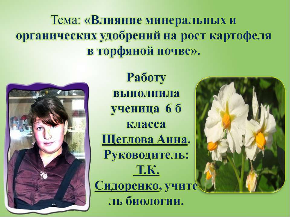 Влияние минеральных и органических удобрений на рост картофеля в торфяной почве - Учебники, Презентации и Подготовка к Экзаменам для Школьников на Klass-Uchebnik.com