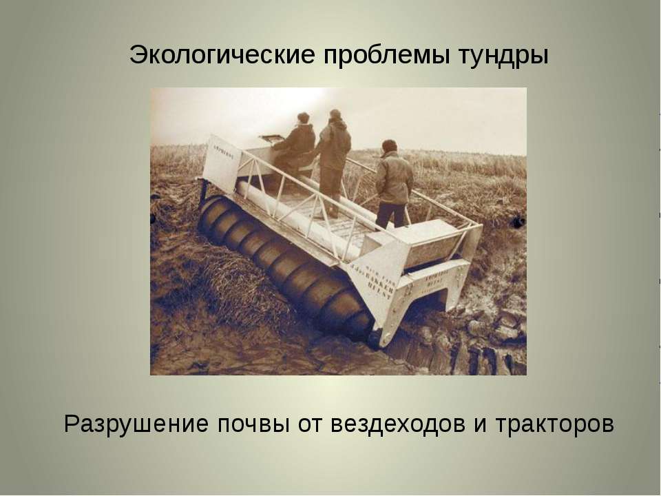 Экологические проблемы тундры - Учебники, Презентации и Подготовка к Экзаменам для Школьников на Klass-Uchebnik.com