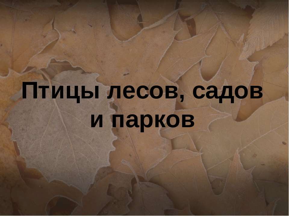Птицы лесов, садов и парков - Учебники, Презентации и Подготовка к Экзаменам для Школьников на Klass-Uchebnik.com