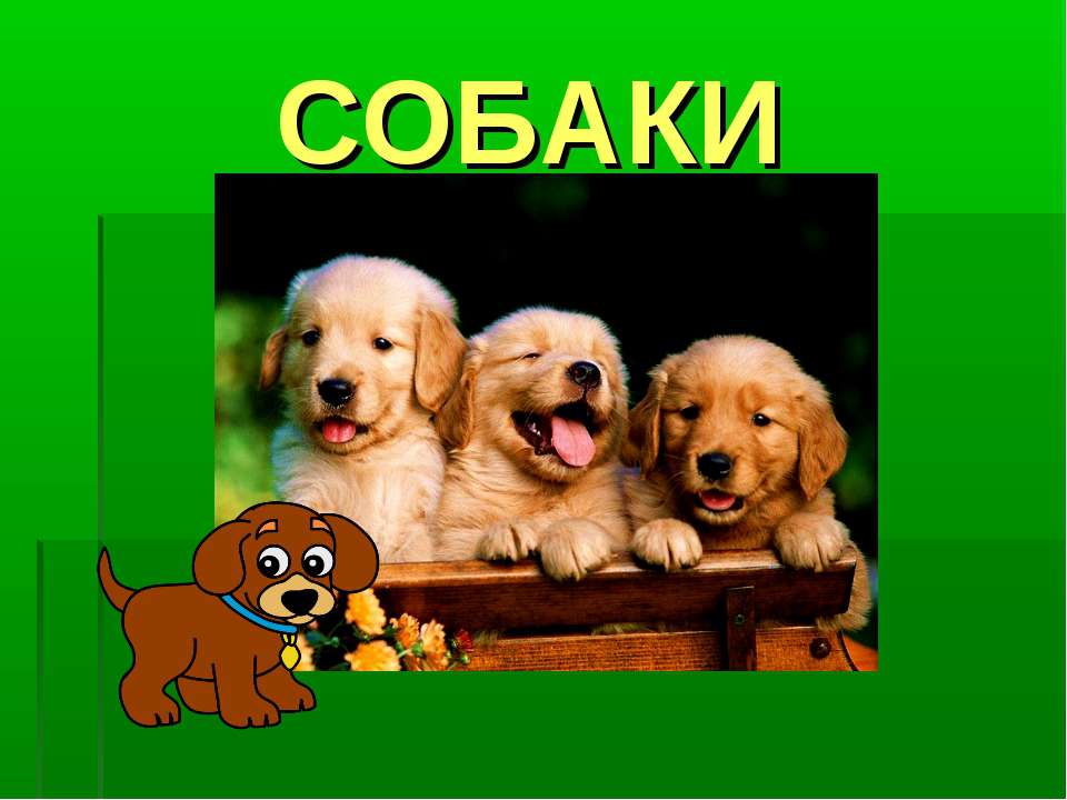 Собаки Учебники, Презентации и Подготовка к Экзаменам для Школьников на Klass-Uchebnik.com