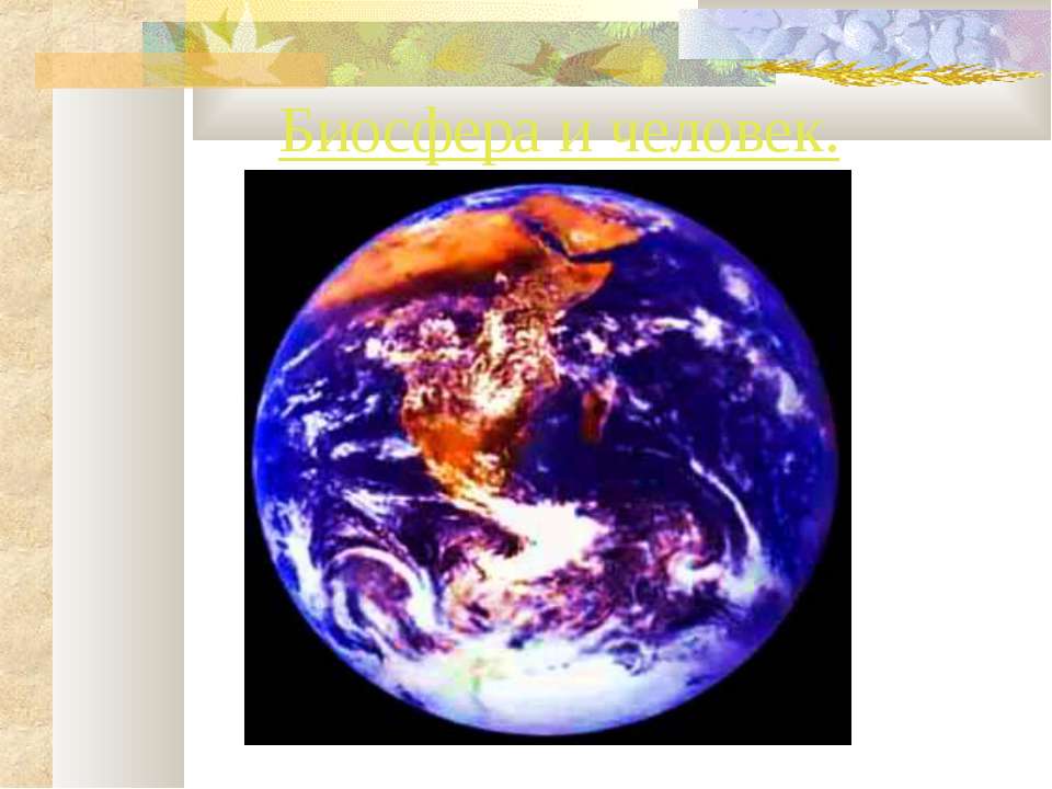 Биосфера и человек Учебники, Презентации и Подготовка к Экзаменам для Школьников на Klass-Uchebnik.com