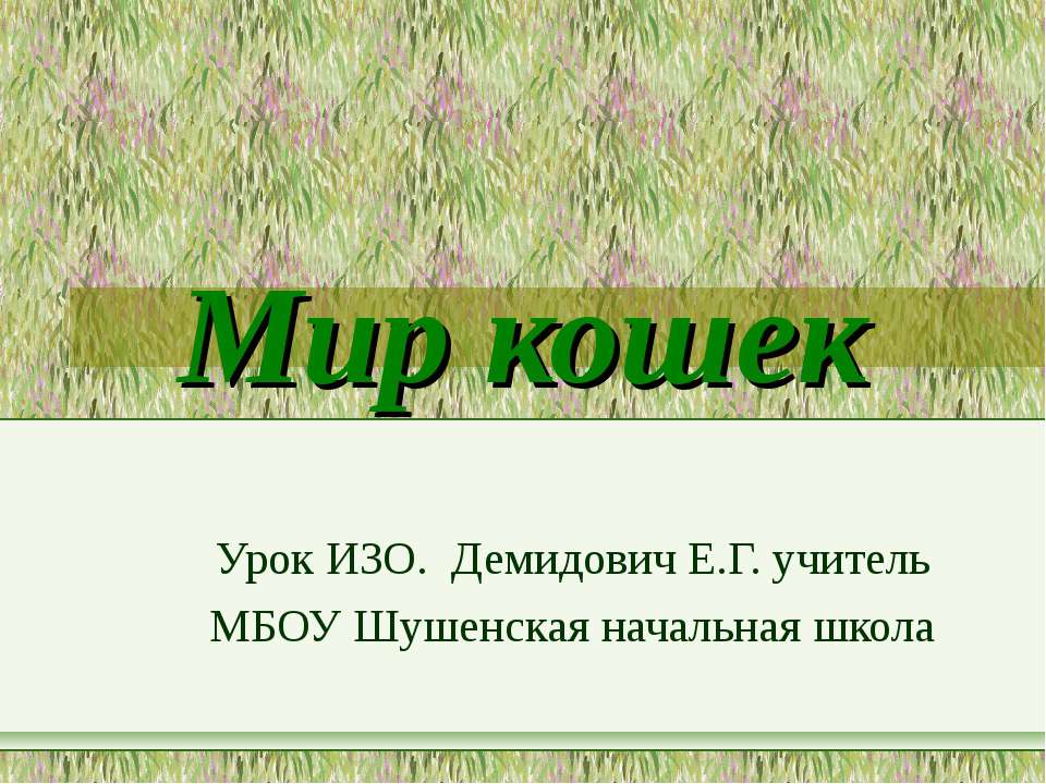 Мир кошек Учебники, Презентации и Подготовка к Экзаменам для Школьников на Klass-Uchebnik.com