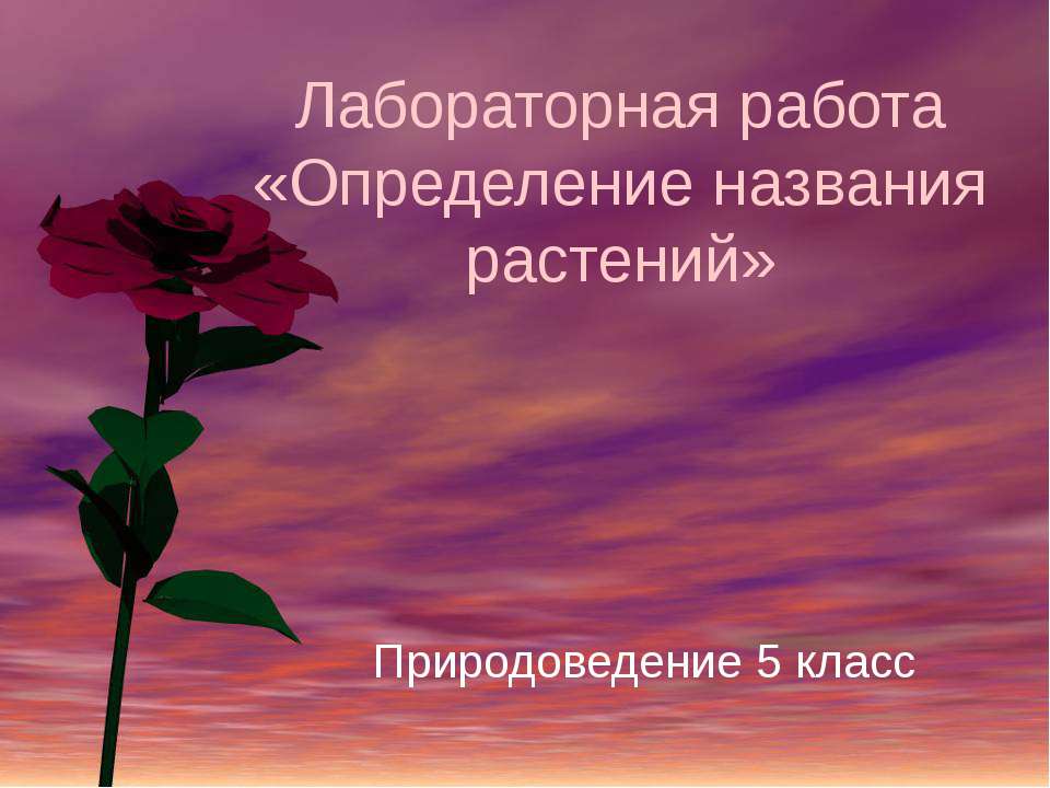 Определение названия растений Учебники, Презентации и Подготовка к Экзаменам для Школьников на Klass-Uchebnik.com