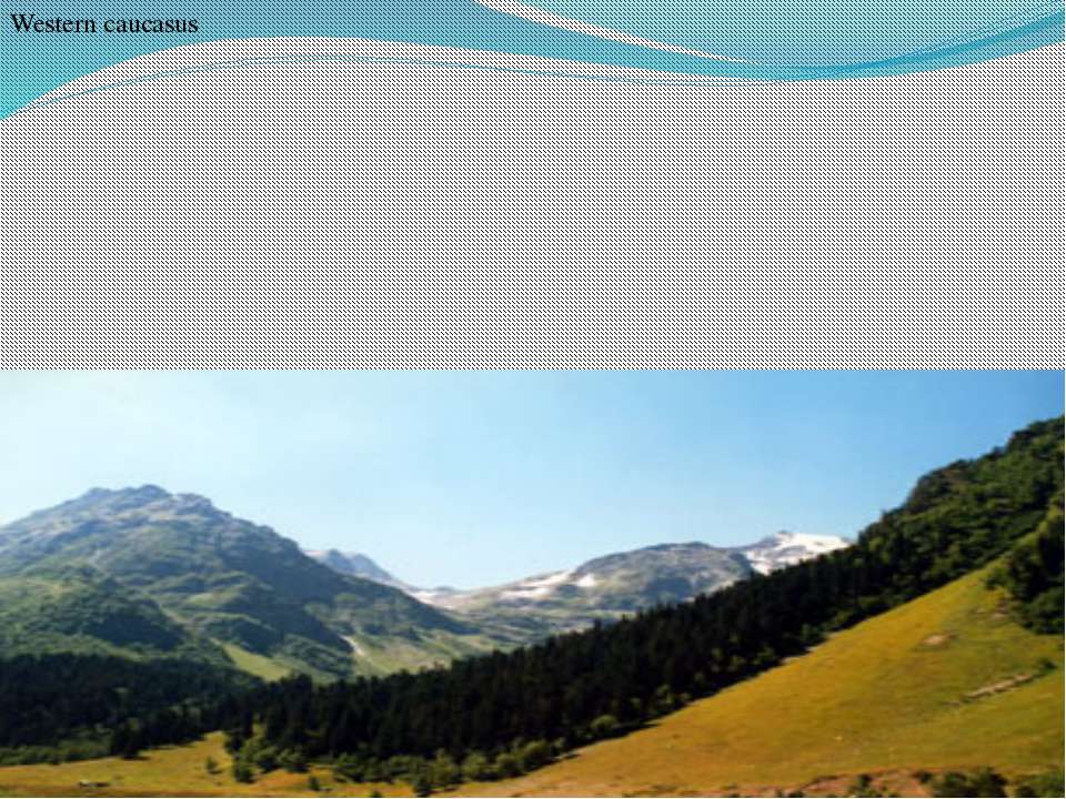 Western caucasus Учебники, Презентации и Подготовка к Экзаменам для Школьников на Klass-Uchebnik.com