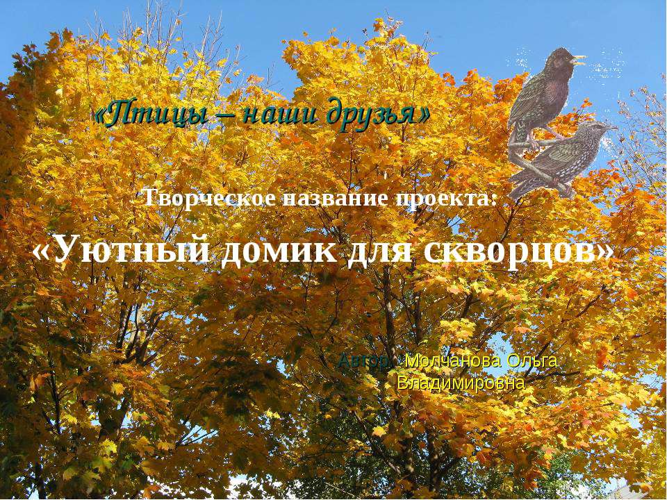 Уютный домик для скворцов Учебники, Презентации и Подготовка к Экзаменам для Школьников на Klass-Uchebnik.com