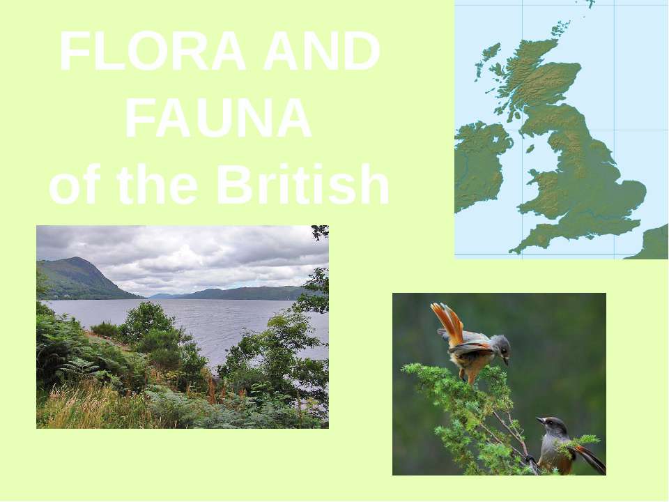 Flora and fauna of the British Isles Учебники, Презентации и Подготовка к Экзаменам для Школьников на Klass-Uchebnik.com