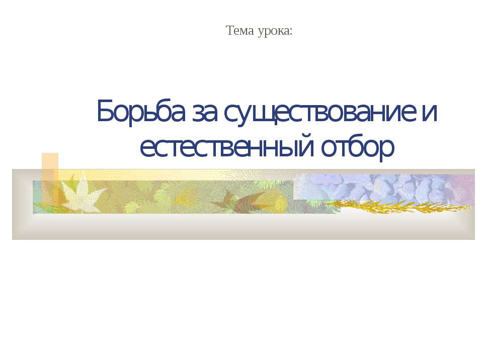 Борьба за существование и естественный отбор - Учебники, Презентации и Подготовка к Экзаменам для Школьников на Klass-Uchebnik.com