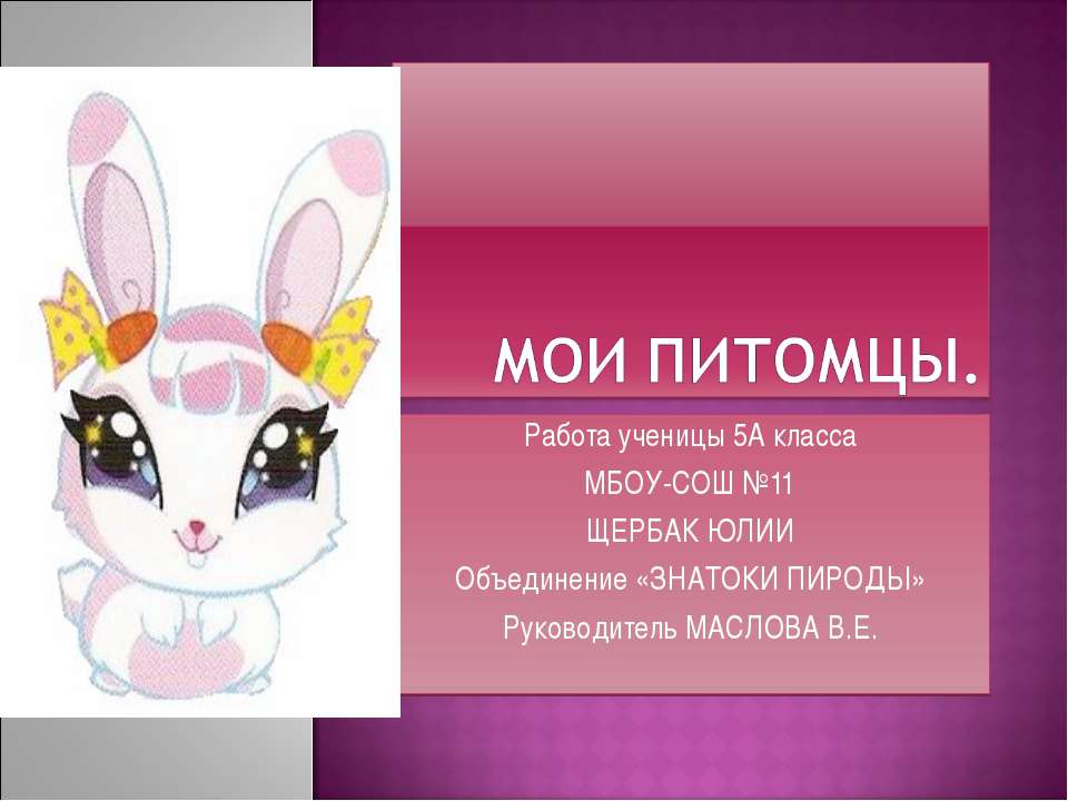 Мои питомцы Учебники, Презентации и Подготовка к Экзаменам для Школьников на Klass-Uchebnik.com