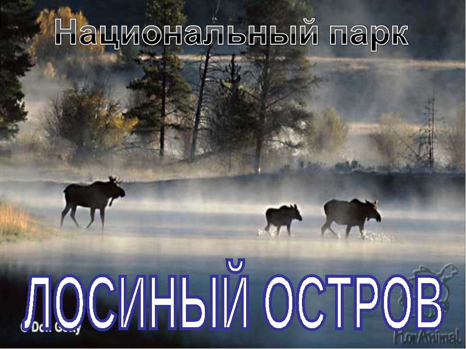 Лосиный остров Учебники, Презентации и Подготовка к Экзаменам для Школьников на Klass-Uchebnik.com