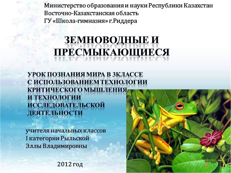 Земноводные и пресмыкающиеся - Учебники, Презентации и Подготовка к Экзаменам для Школьников на Klass-Uchebnik.com