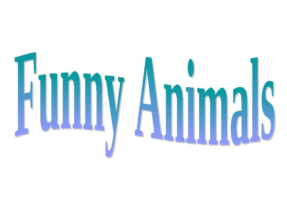 Funny animals - Учебники, Презентации и Подготовка к Экзаменам для Школьников на Klass-Uchebnik.com