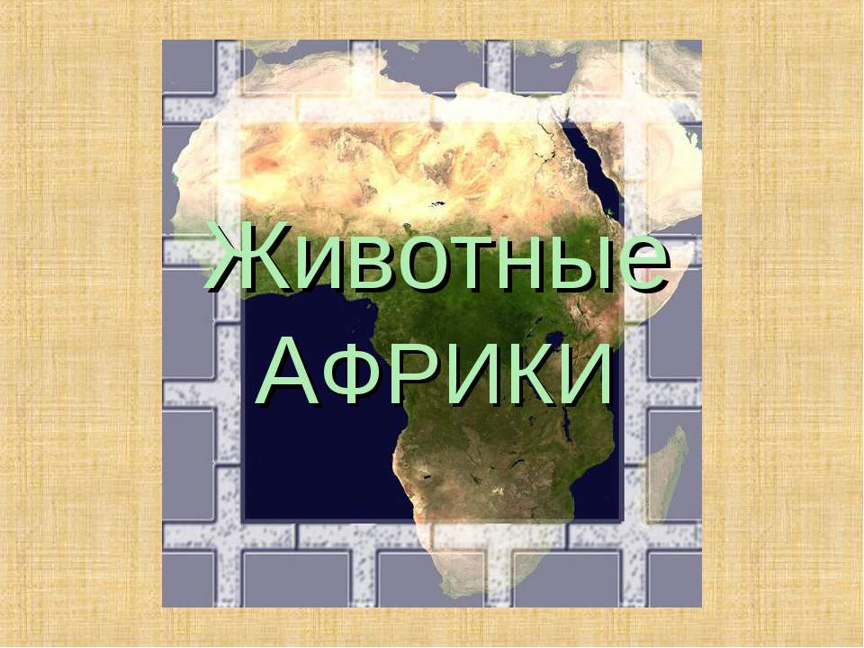 Животные АФРИКИ Учебники, Презентации и Подготовка к Экзаменам для Школьников на Klass-Uchebnik.com