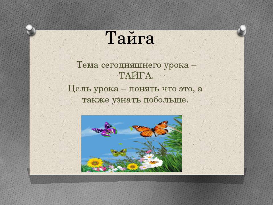 ТАЙГА Учебники, Презентации и Подготовка к Экзаменам для Школьников на Klass-Uchebnik.com