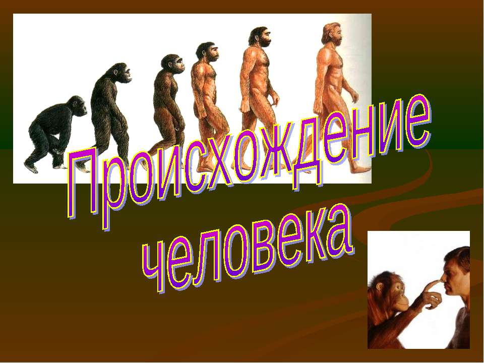 Происхождение человека - Учебники, Презентации и Подготовка к Экзаменам для Школьников на Klass-Uchebnik.com