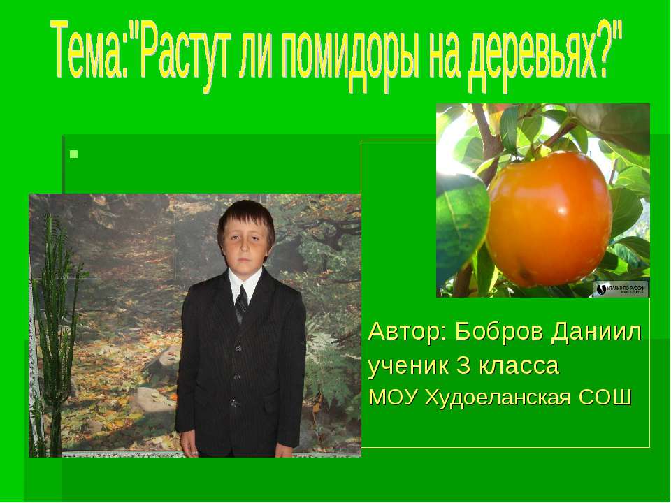 Растут ли помидоры на деревьях? Учебники, Презентации и Подготовка к Экзаменам для Школьников на Klass-Uchebnik.com