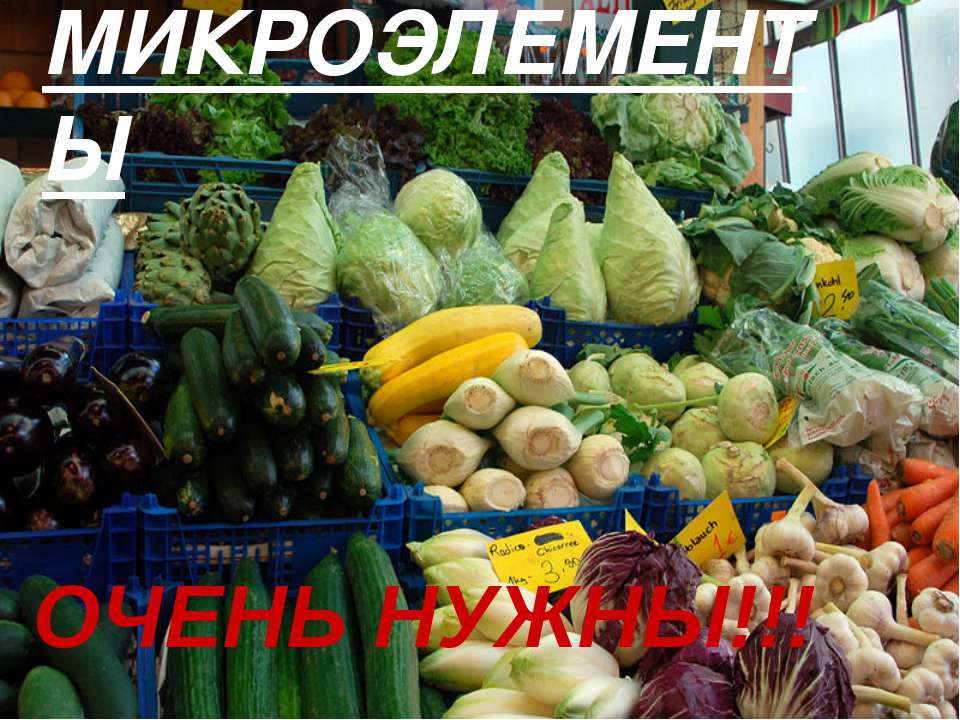 Микроэлементы Учебники, Презентации и Подготовка к Экзаменам для Школьников на Klass-Uchebnik.com